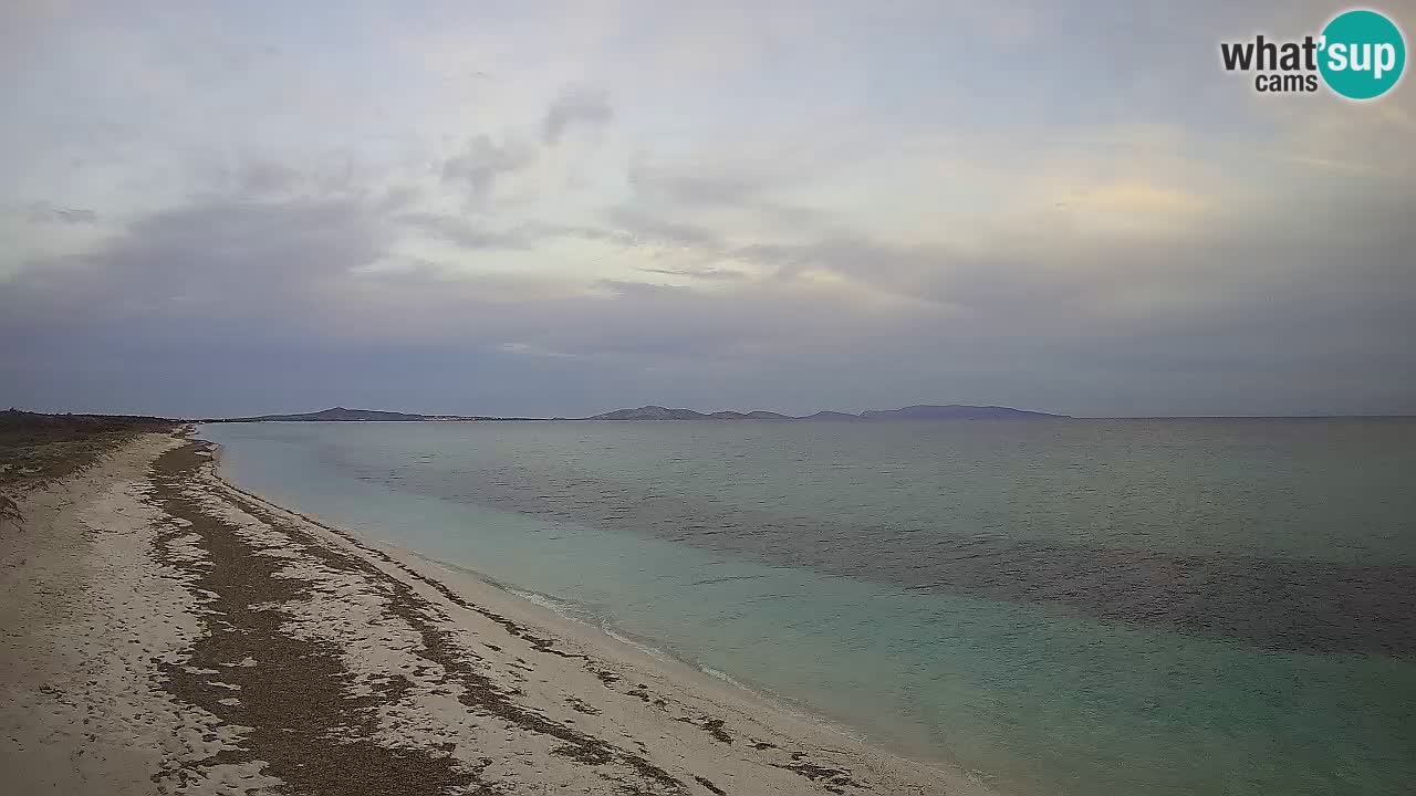 Plaža Le Saline web kamera Stintino – Sardinija