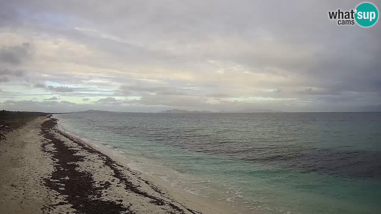 Plaža Le Saline spletna kamera Stintino – Sardinija