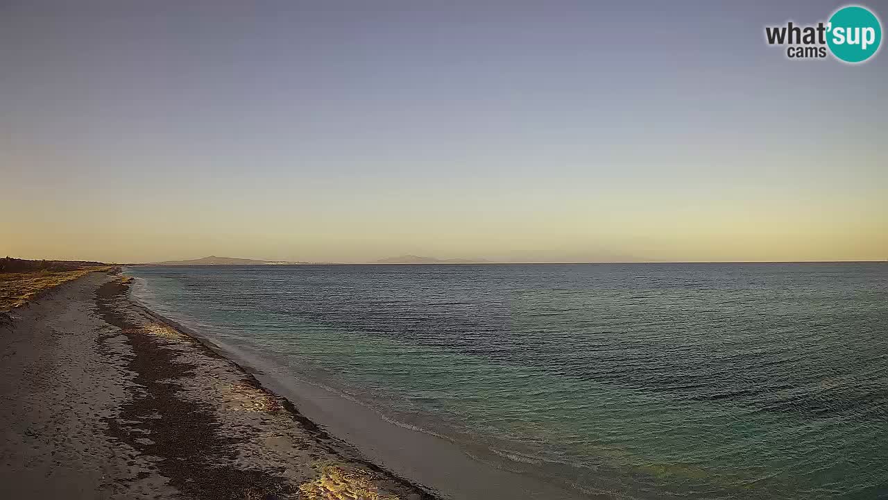 Plage Le Saline Live cam Stintino – Sardaigne