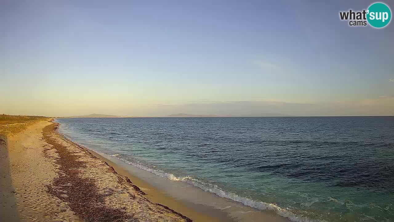 Plaža Le Saline web kamera Stintino – Sardinija