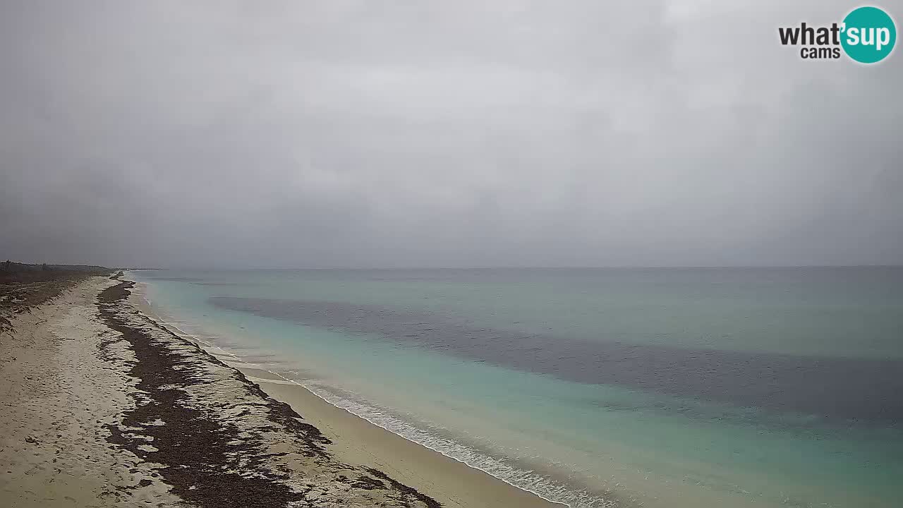 Playa Le Saline camera en vivo Stintino – Cerdeña