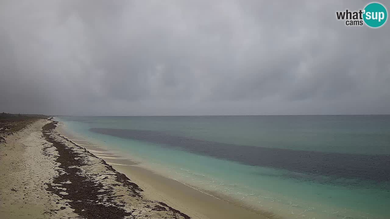 Beach Le Saline webcam live Stintino – Sardinia