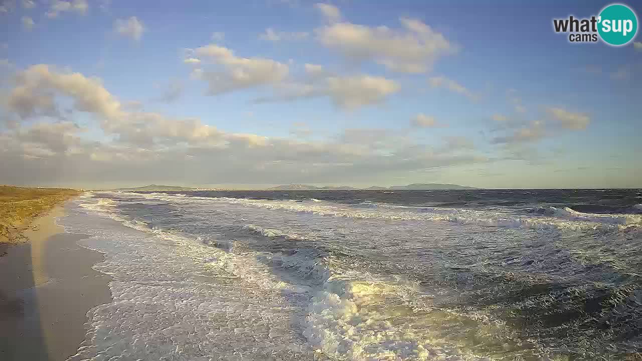 Playa Le Saline camera en vivo Stintino – Cerdeña