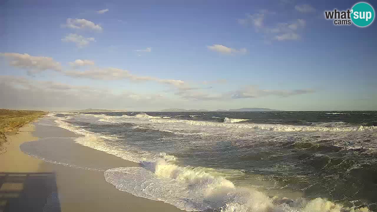 Beach Le Saline webcam live Stintino – Sardinia