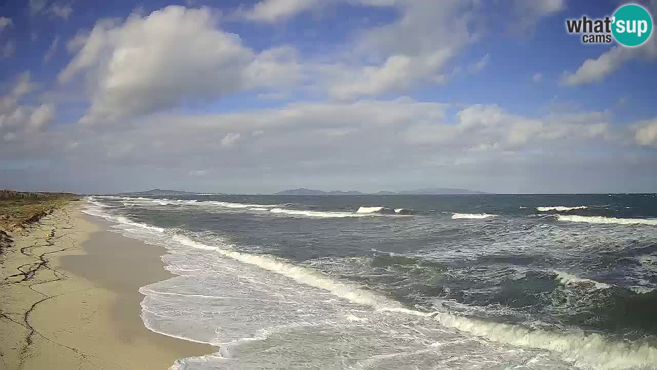 Beach Le Saline webcam live Stintino – Sardinia