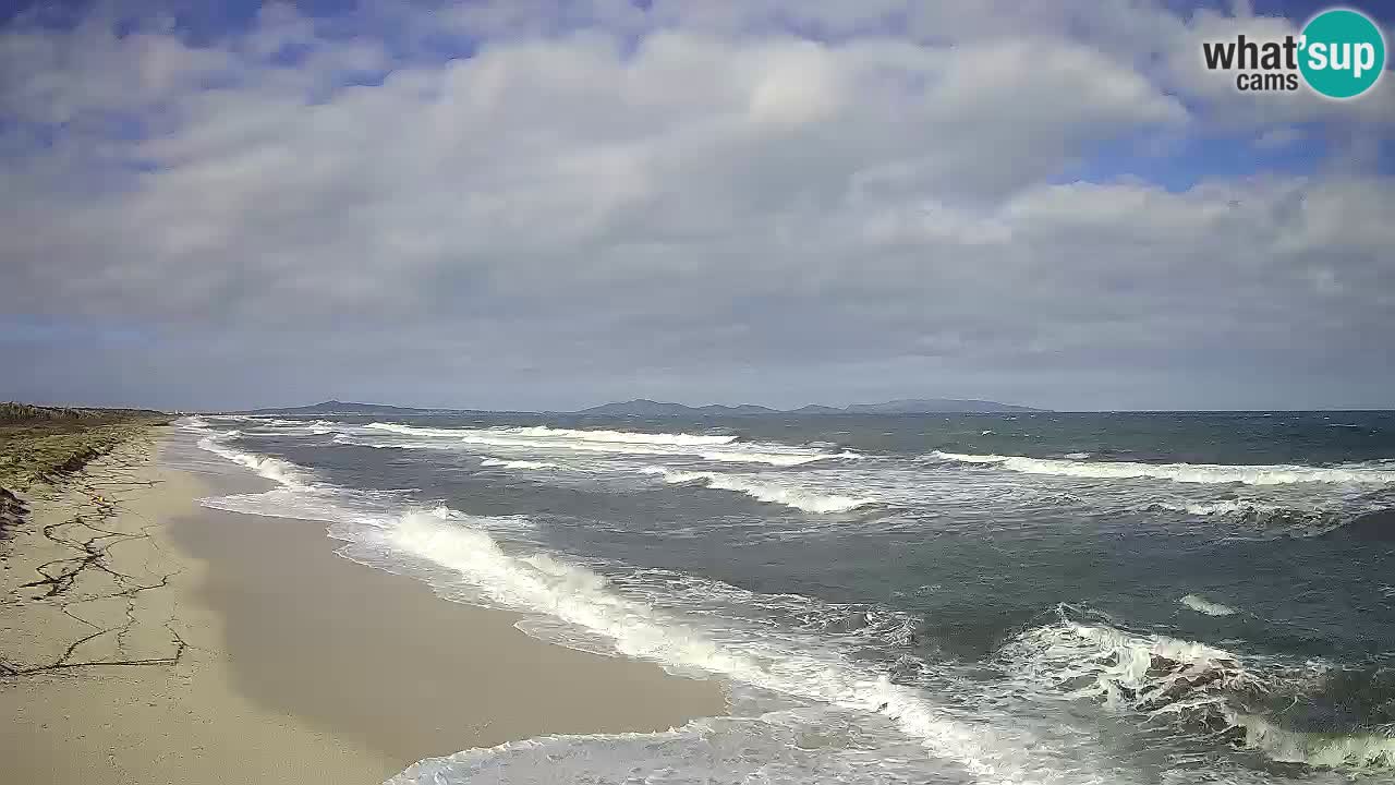 Beach Le Saline webcam live Stintino – Sardinia