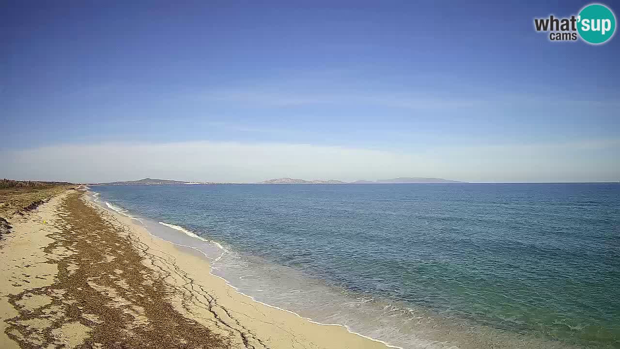 Beach Le Saline webcam live Stintino – Sardinia