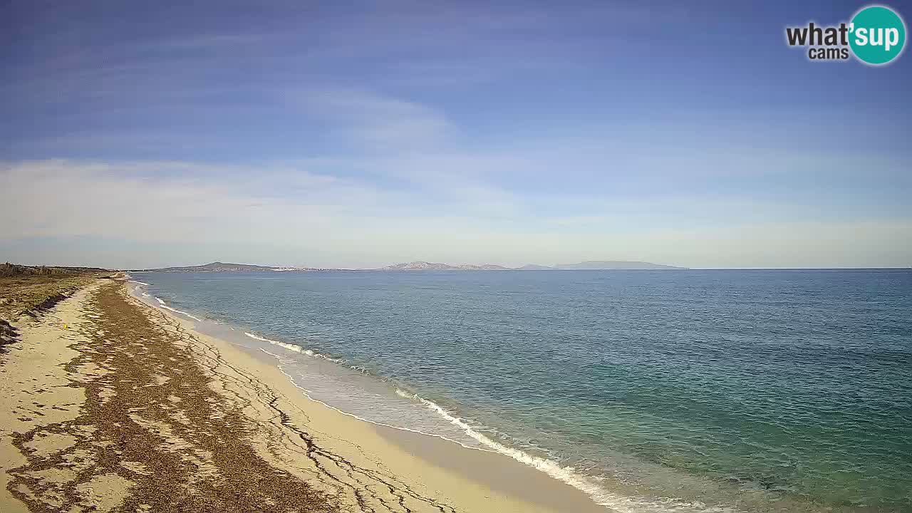 Beach Le Saline webcam live Stintino – Sardinia