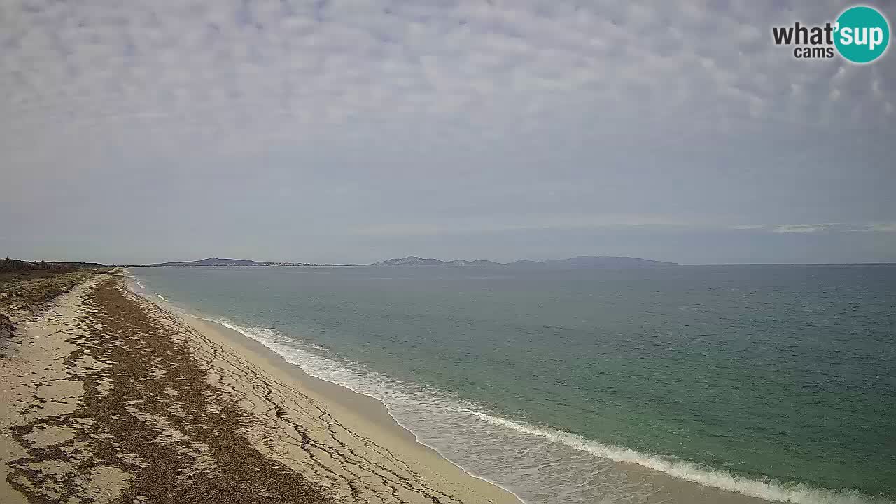 Beach Le Saline webcam live Stintino – Sardinia