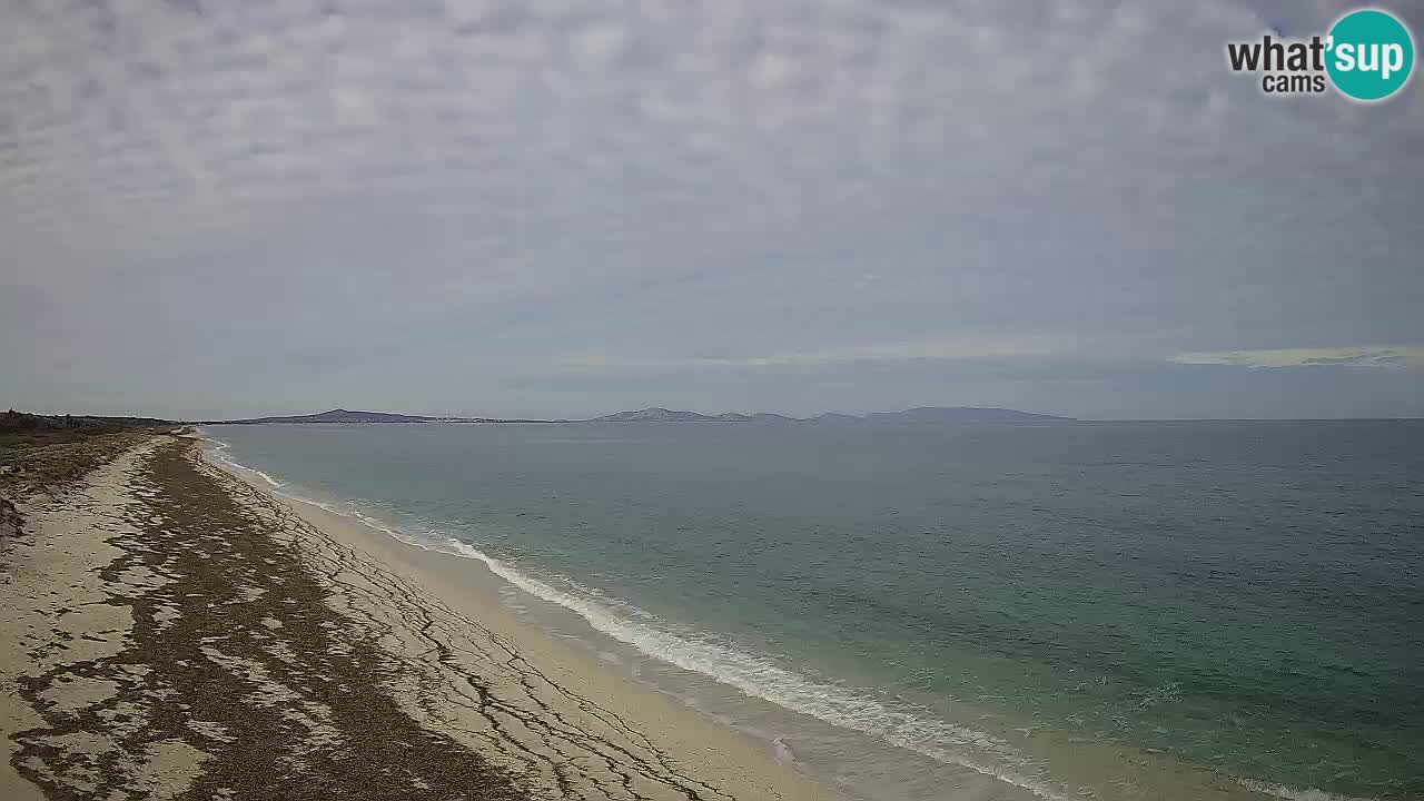 Beach Le Saline webcam live Stintino – Sardinia