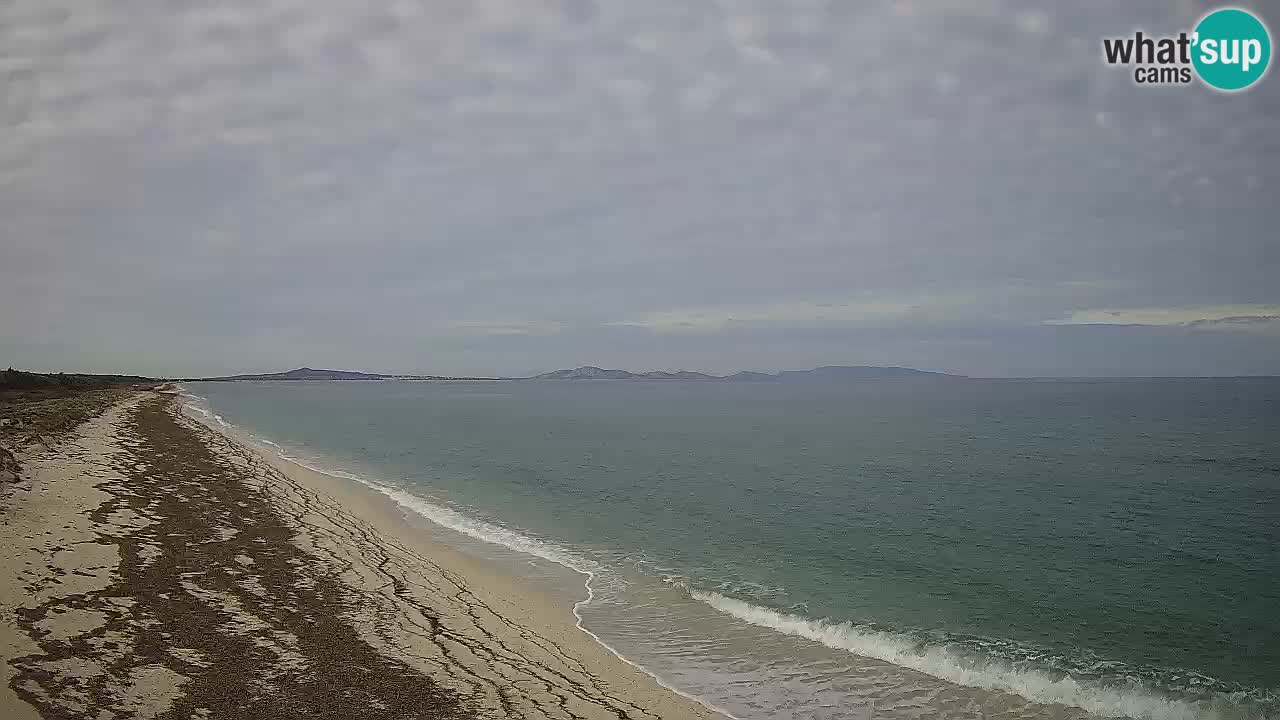 Beach Le Saline webcam live Stintino – Sardinia