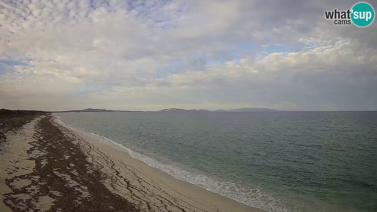 Beach Le Saline webcam live Stintino – Sardinia