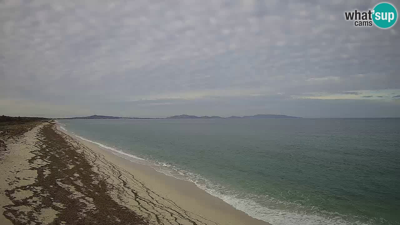 Beach Le Saline webcam live Stintino – Sardinia