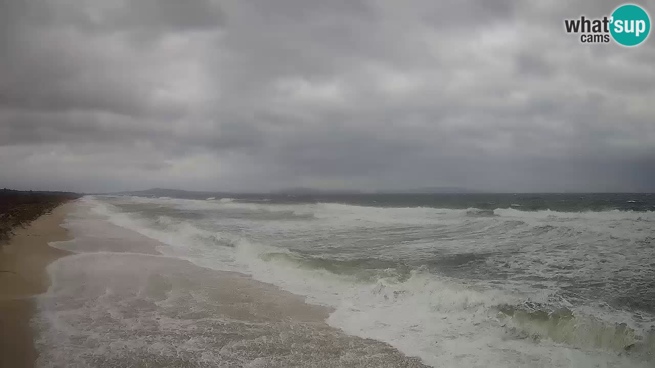 Plaža Le Saline spletna kamera Stintino – Sardinija