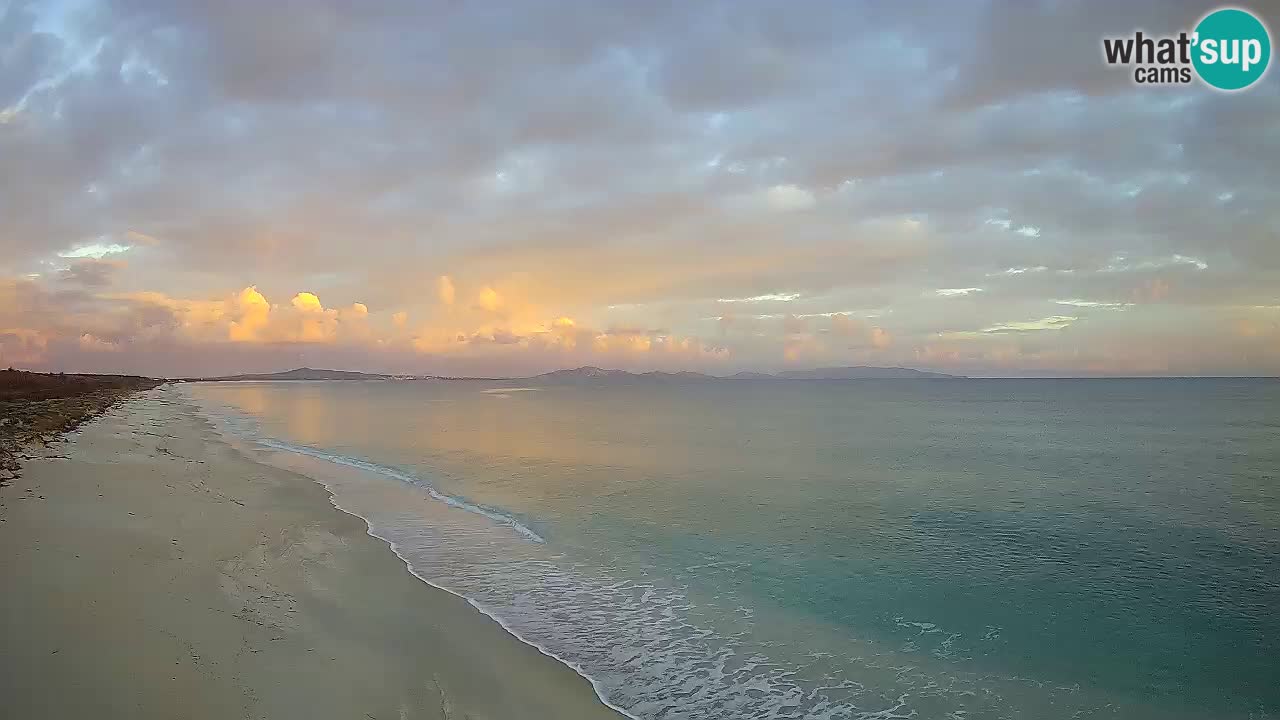 Plaža Le Saline spletna kamera Stintino – Sardinija