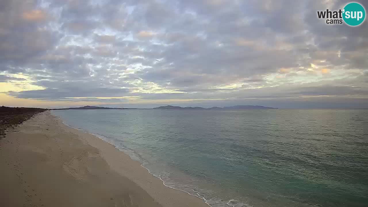 Beach Le Saline webcam live Stintino – Sardinia