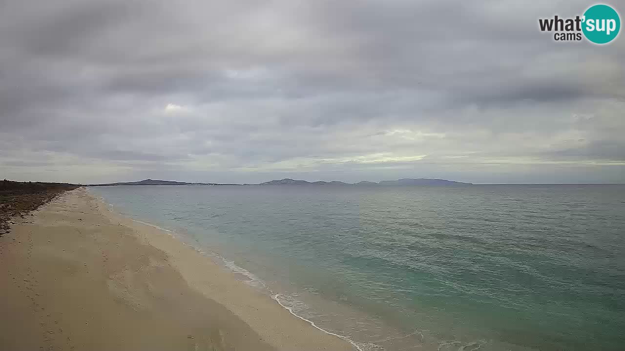 Plaža Le Saline web kamera Stintino – Sardinija