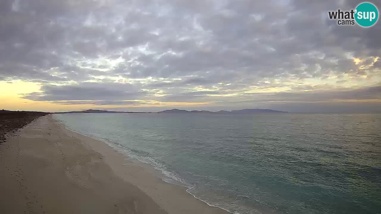 Playa Le Saline camera en vivo Stintino – Cerdeña