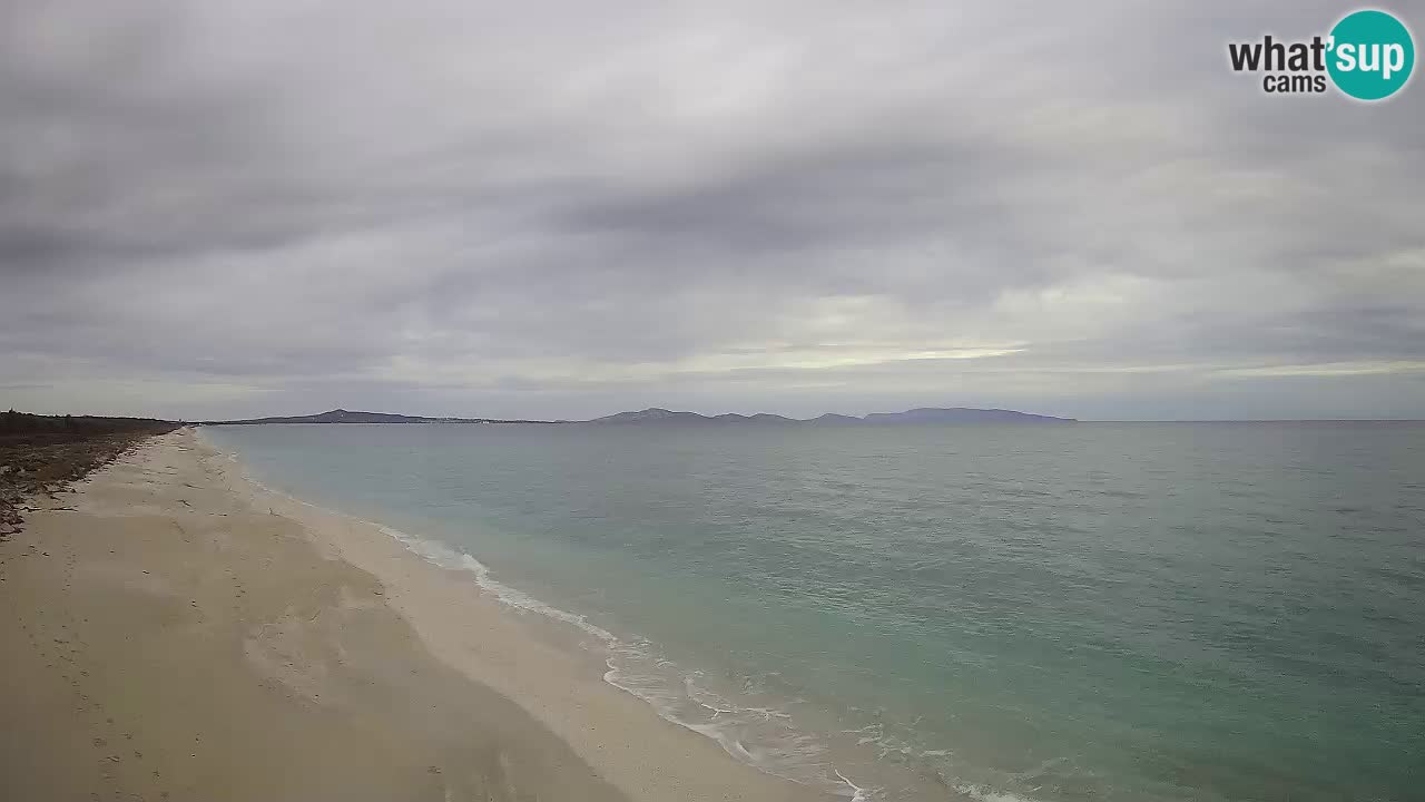 Strand Le Saline webcam Stintino – Sardinien