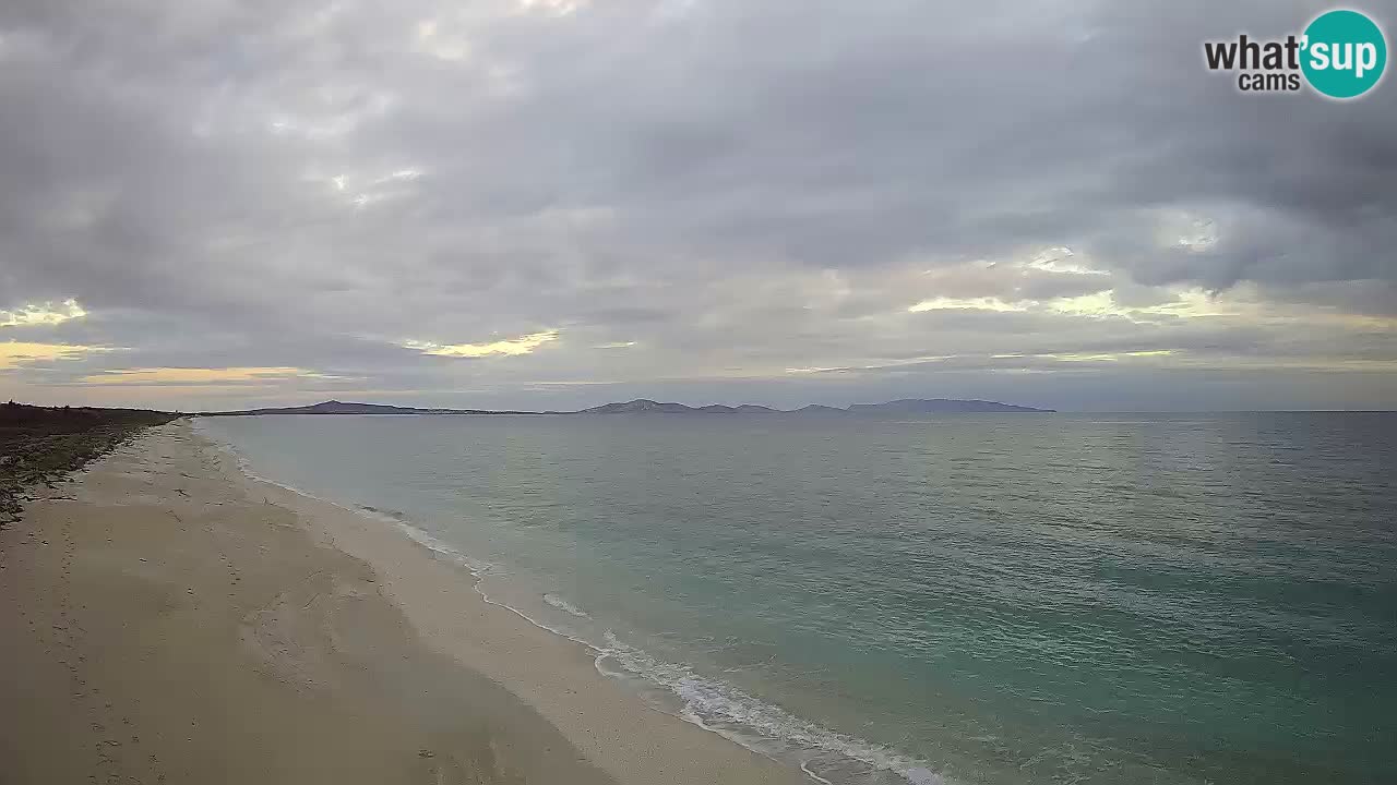 Plaža Le Saline spletna kamera Stintino – Sardinija