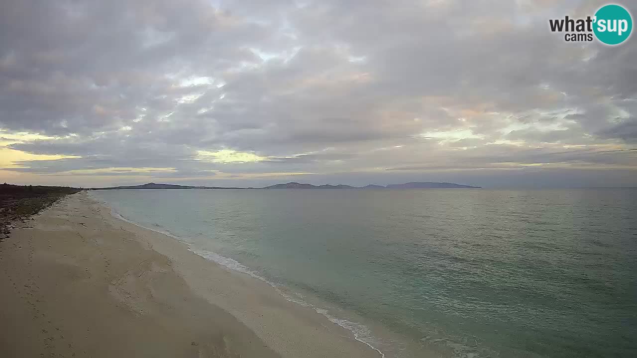 Plaža Le Saline spletna kamera Stintino – Sardinija