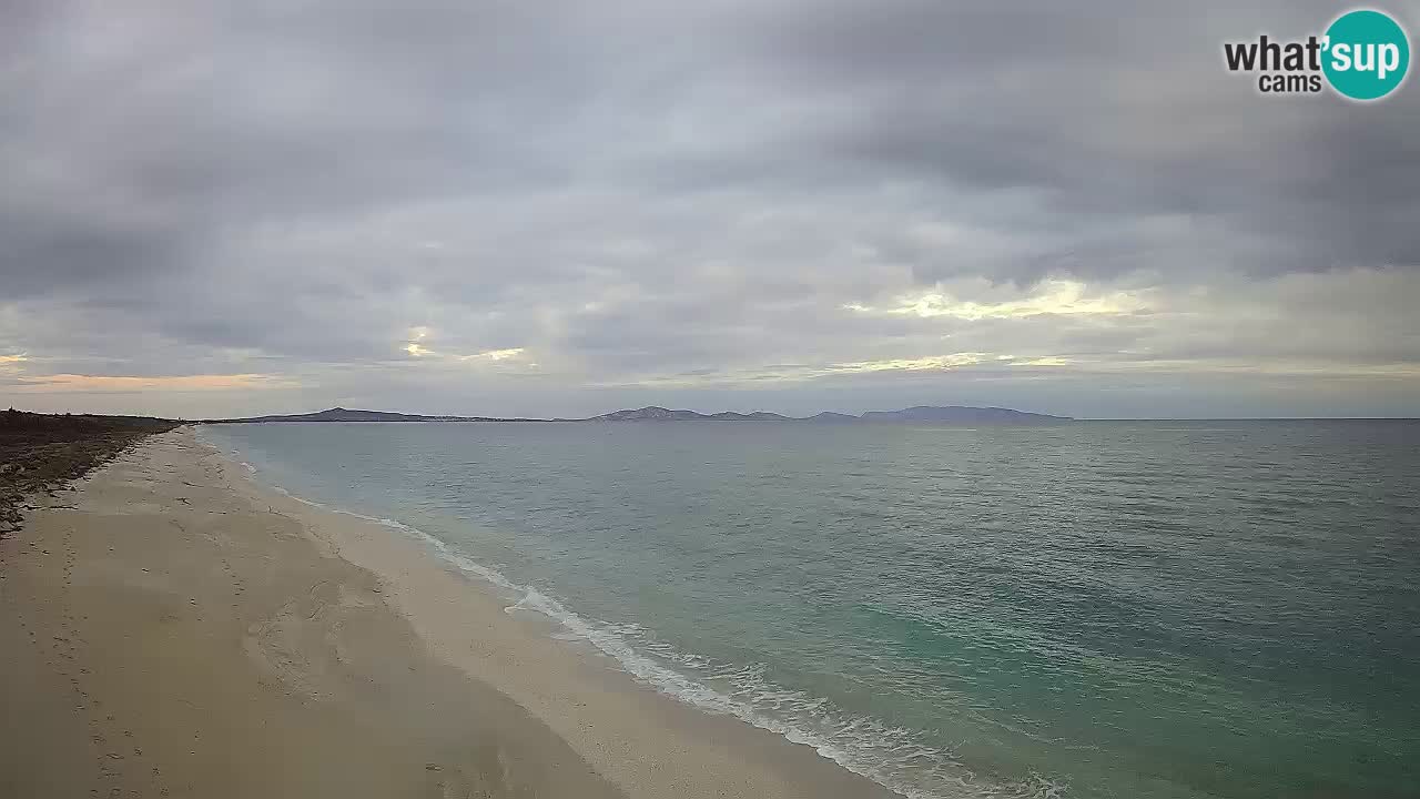 Plaža Le Saline web kamera Stintino – Sardinija