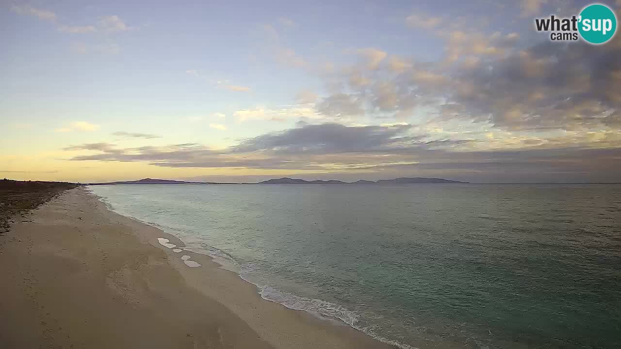 Strand Le Saline webcam Stintino – Sardinien