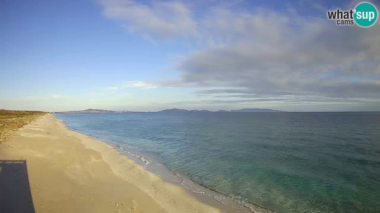 Playa Le Saline camera en vivo Stintino – Cerdeña