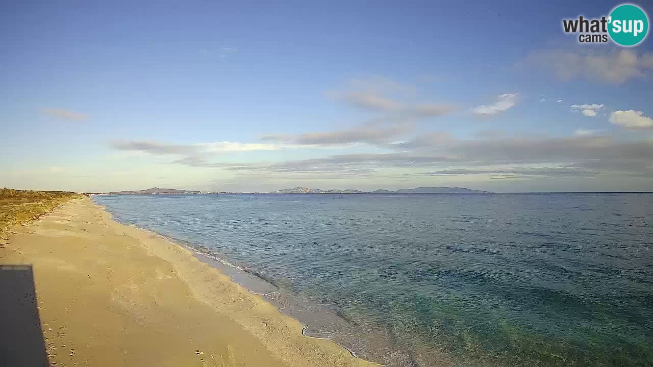 Plaža Le Saline spletna kamera Stintino – Sardinija