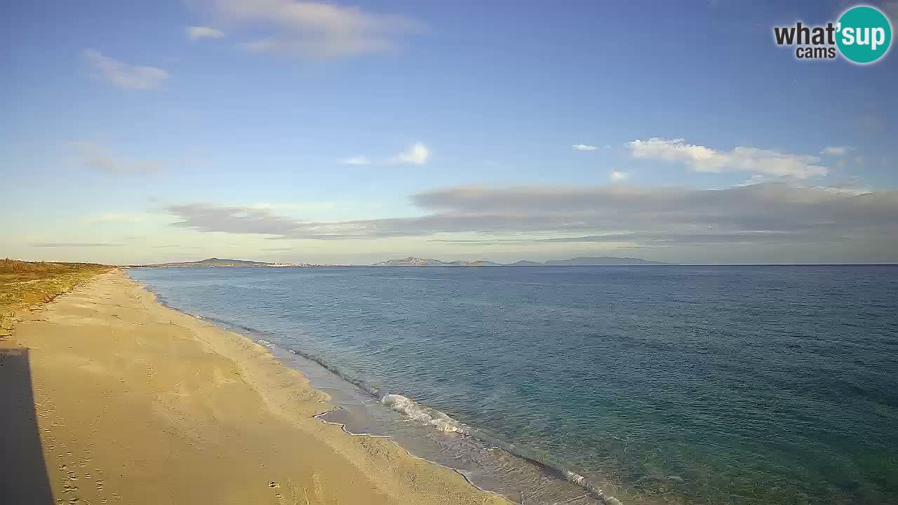 Playa Le Saline camera en vivo Stintino – Cerdeña