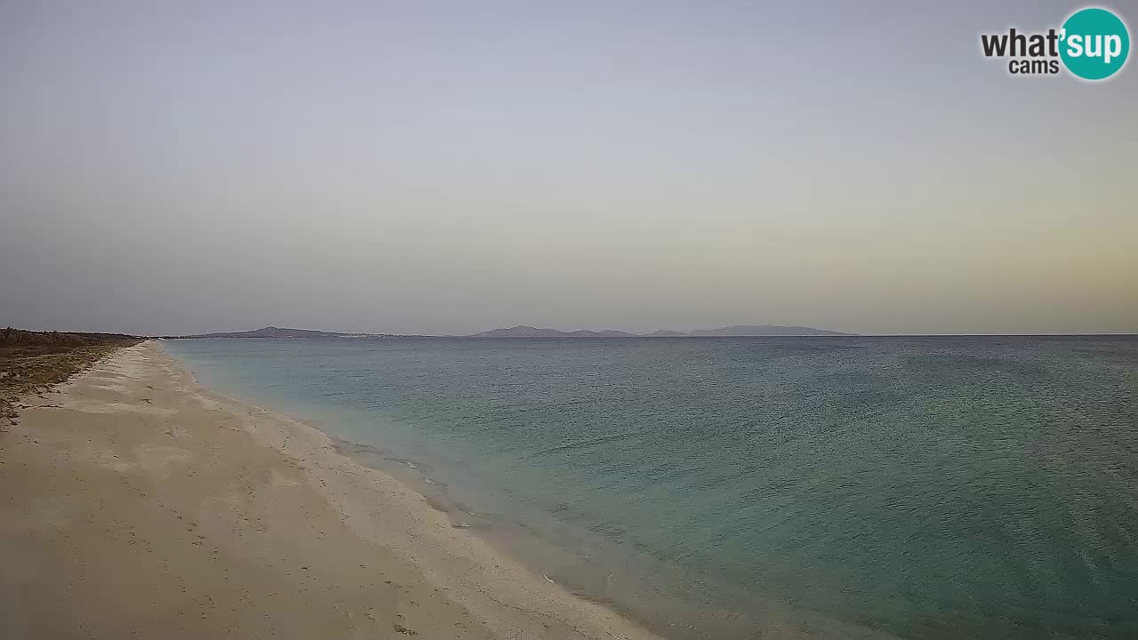 Spiaggia Le Saline webcam Stintino – Sardegna