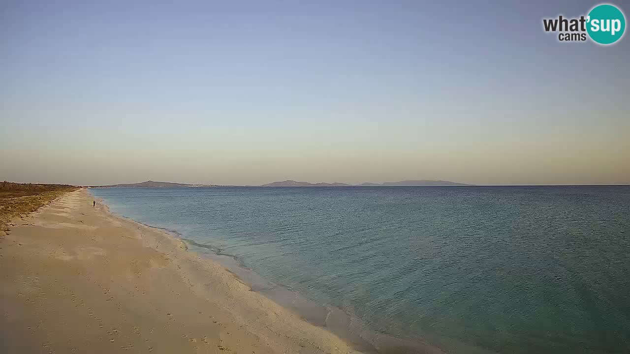 Plaža Le Saline spletna kamera Stintino – Sardinija