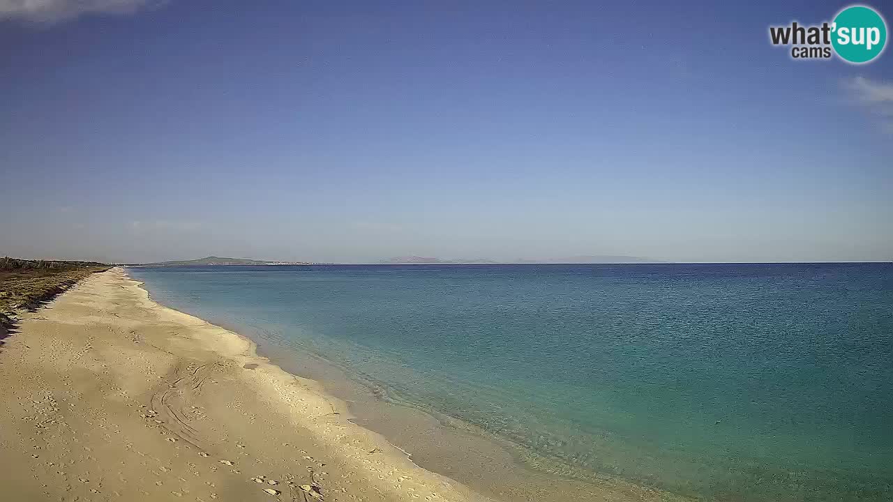 Spiaggia Le Saline webcam Stintino – Sardegna