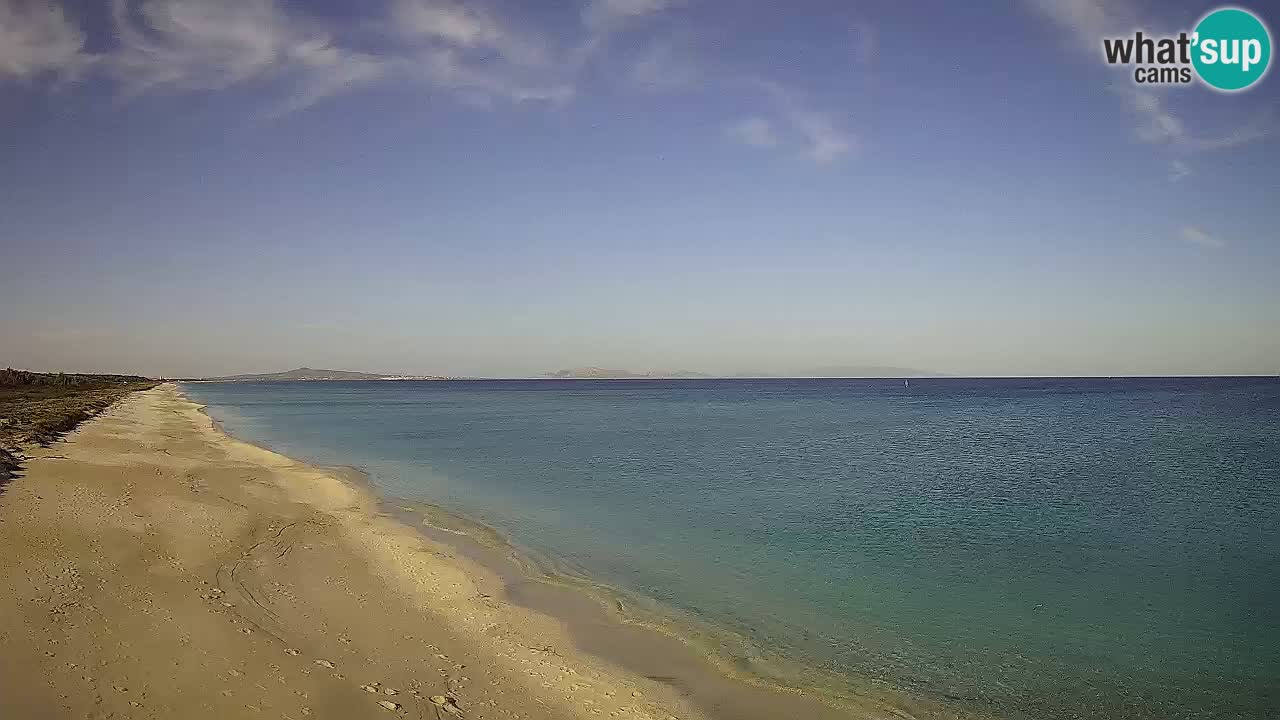 Plaža Le Saline spletna kamera Stintino – Sardinija