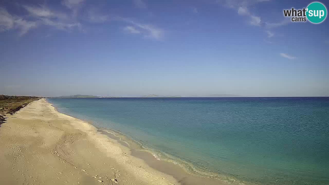 Spiaggia Le Saline webcam Stintino – Sardegna