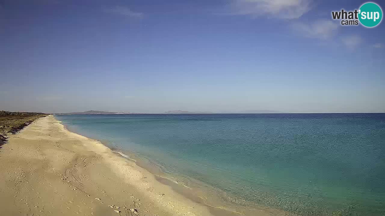 Playa Le Saline camera en vivo Stintino – Cerdeña