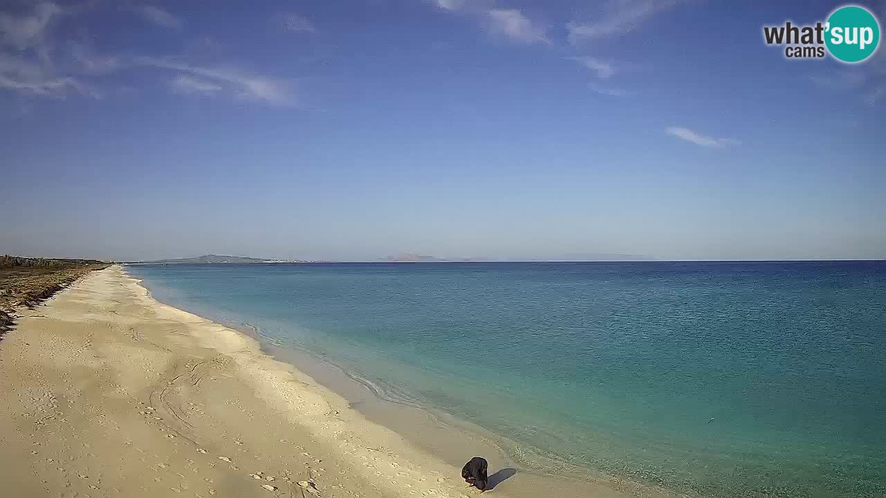 Beach Le Saline webcam live Stintino – Sardinia