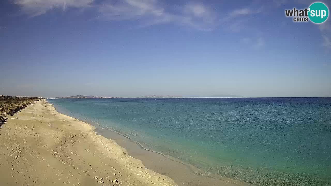 Plaža Le Saline spletna kamera Stintino – Sardinija