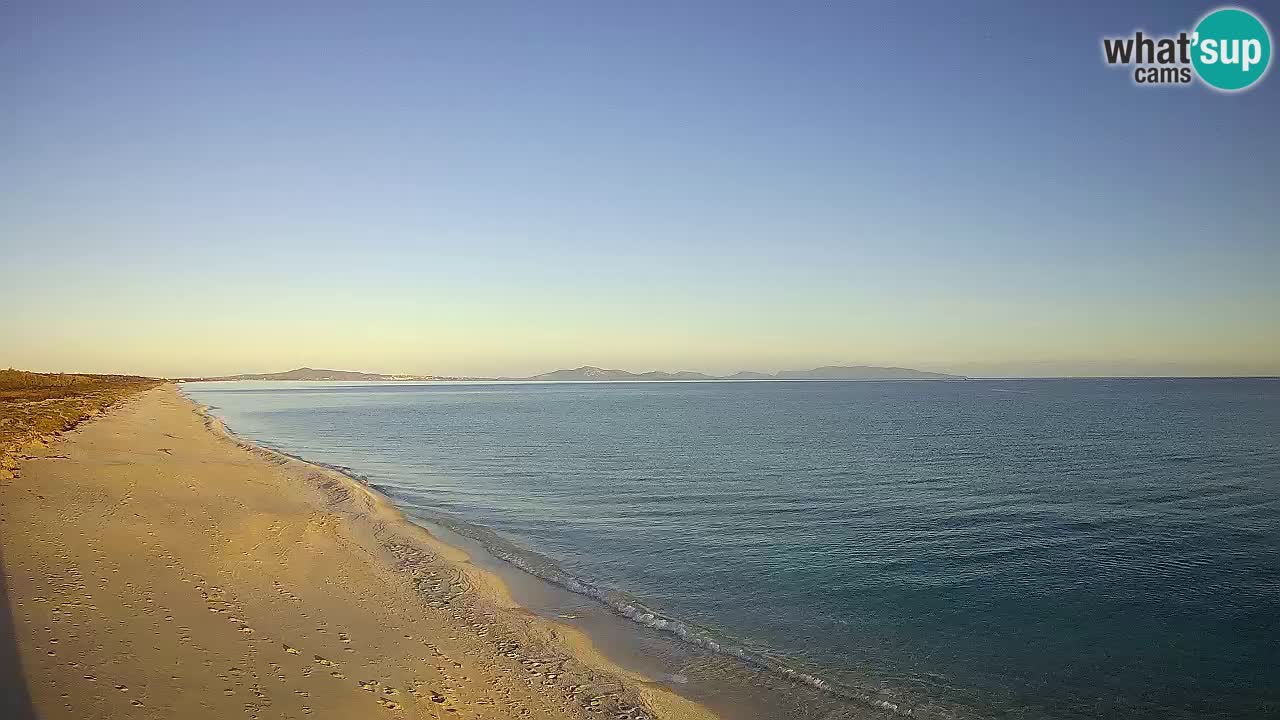 Beach Le Saline webcam live Stintino – Sardinia