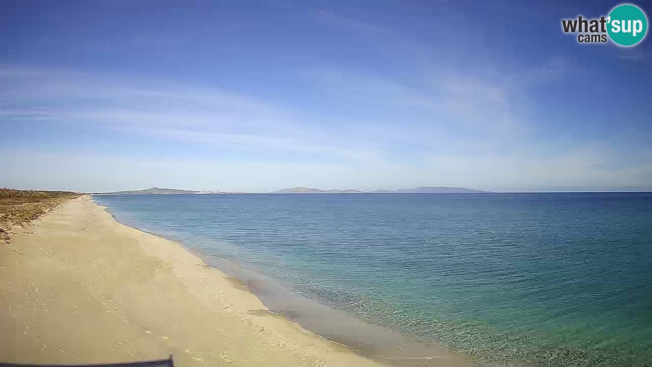 Playa Le Saline camera en vivo Stintino – Cerdeña