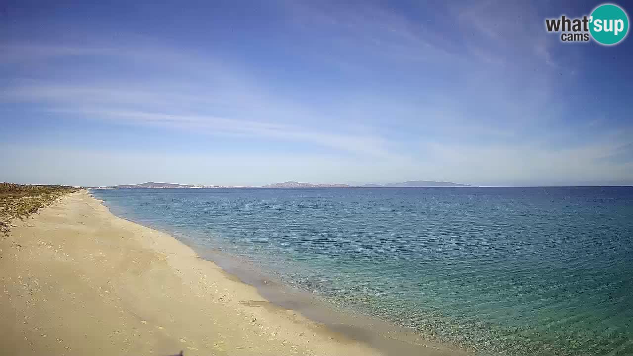 Plaža Le Saline spletna kamera Stintino – Sardinija