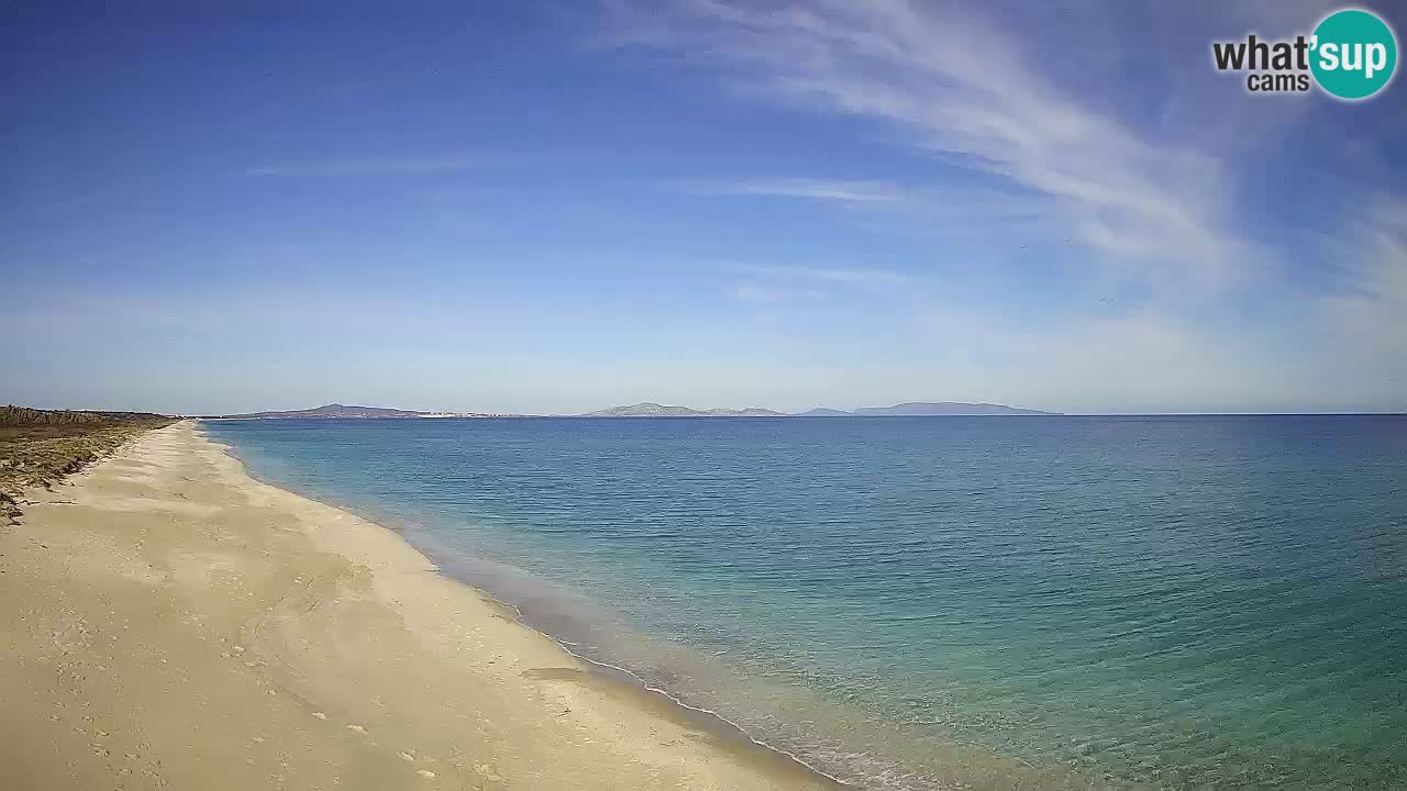 Plaža Le Saline spletna kamera Stintino – Sardinija