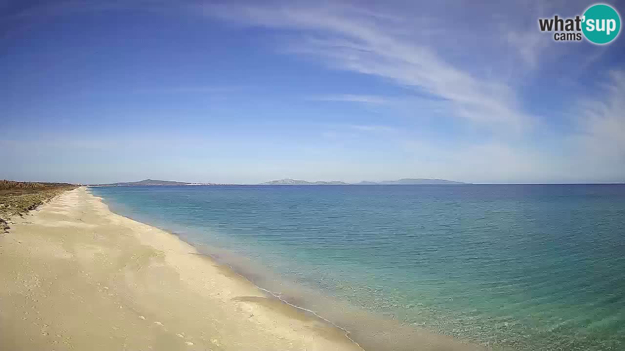 Strand Le Saline webcam Stintino – Sardinien