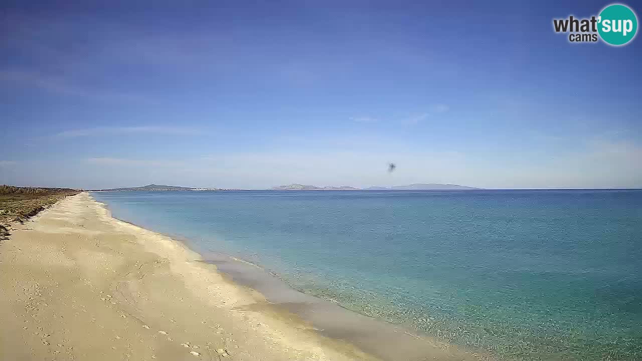 Plaža Le Saline web kamera Stintino – Sardinija