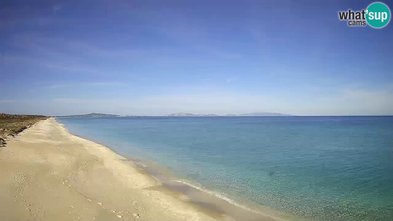 Plaža Le Saline web kamera Stintino – Sardinija