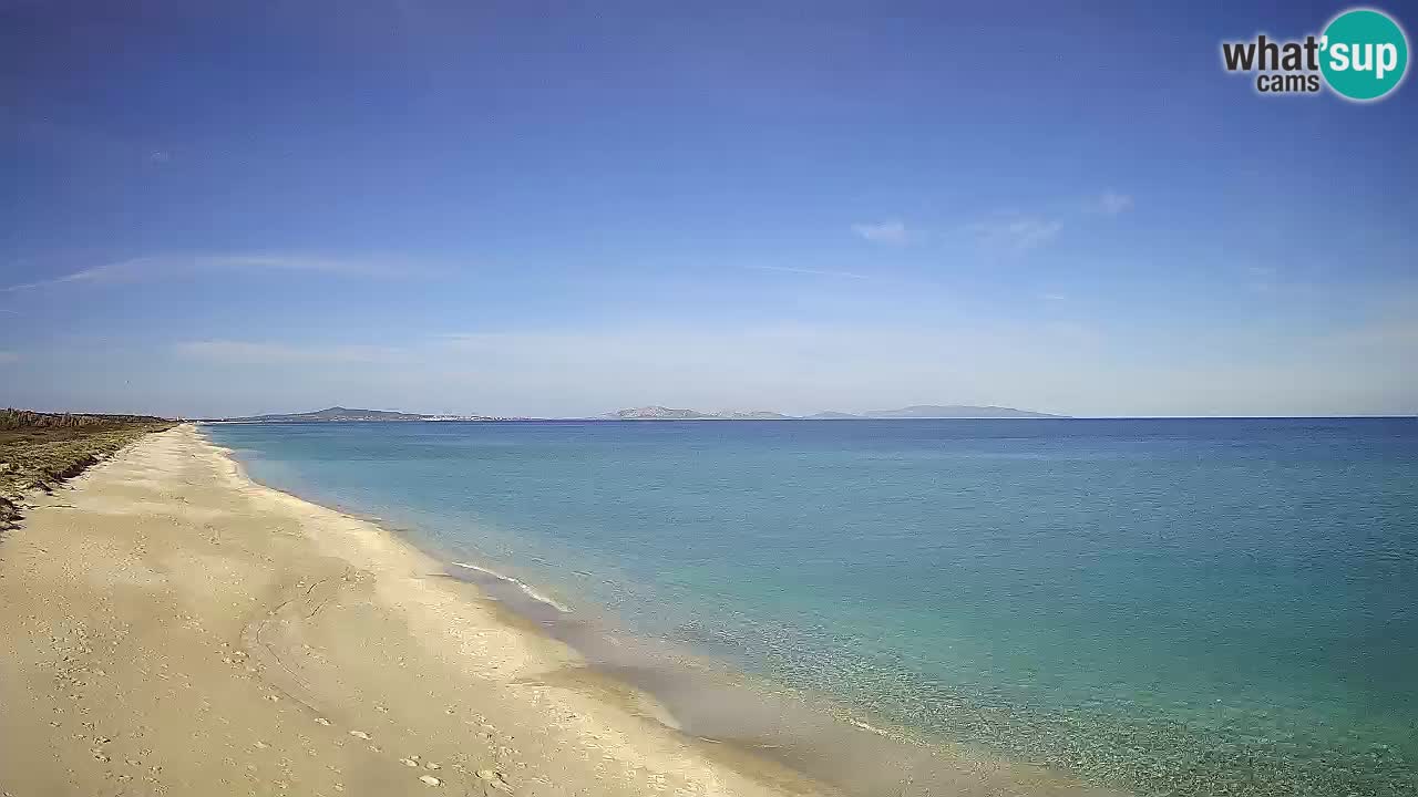 Playa Le Saline camera en vivo Stintino – Cerdeña