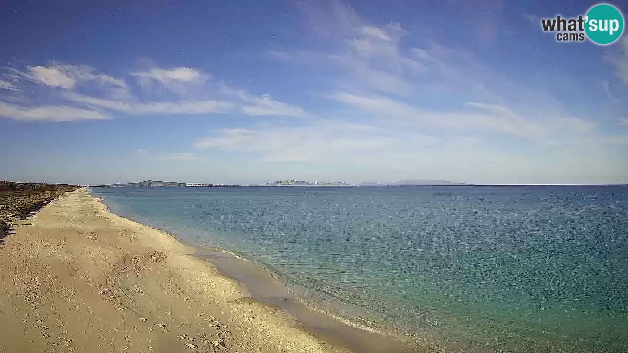 Plaža Le Saline spletna kamera Stintino – Sardinija