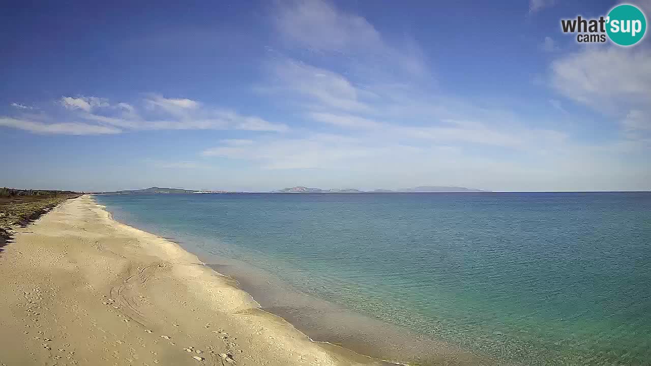 Plaža Le Saline spletna kamera Stintino – Sardinija