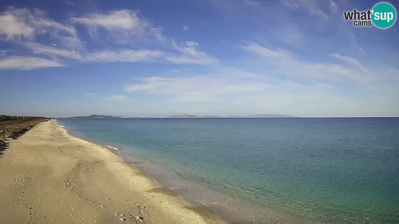 Plaža Le Saline spletna kamera Stintino – Sardinija