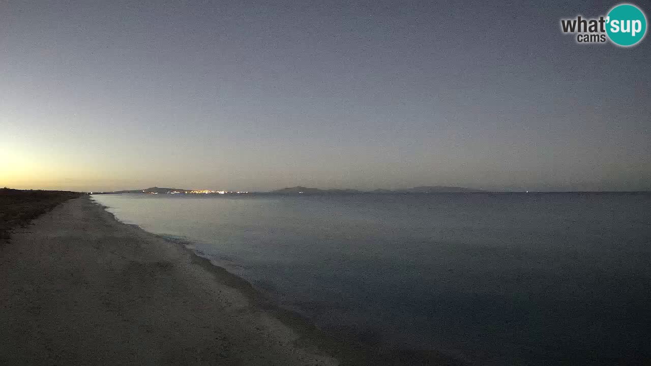 Strand Le Saline webcam Stintino – Sardinien